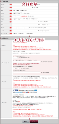 情報の入力・お支払方法の指定